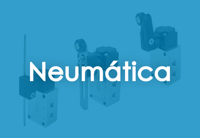 Neumatica